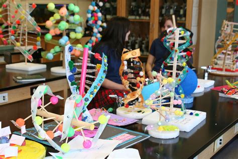 Modelos de ADN | Fun science, Teaching biology, Biology