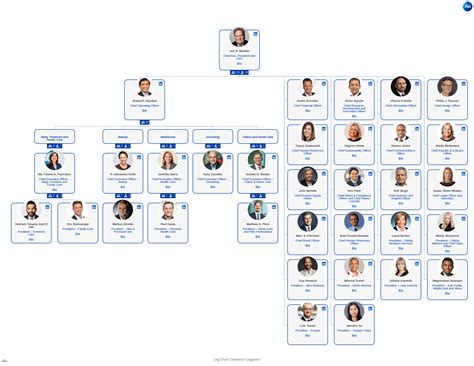 Procter & Gamble's Organizational Structure [Interactive Chart] Organimi