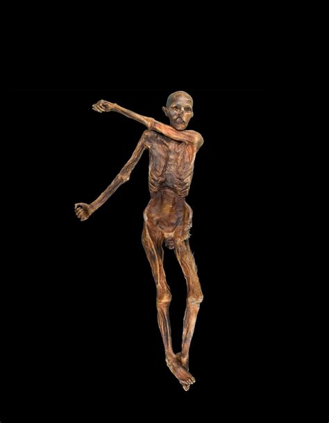 New study redefines genetic makeup of 5,300-year-old mummy Ötzi