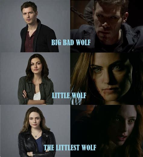 Klaus Hayley Hope wolves | Vampire diaries, Vampire diaries seasons ...