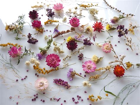 60 Dried Flowers for Resin, Dried Flowers for Crafts, Dried Flower, Pressed Flower Art, Mixed ...