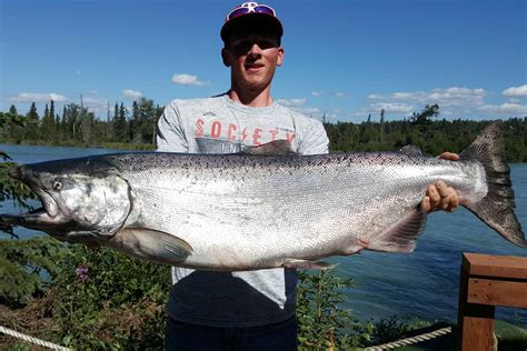 Kenai River Fishing Guides Guided Salmon Fishing Trips Kenai Wild Fishing | Hot Sex Picture