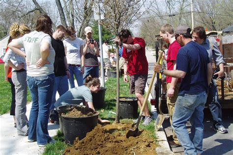 Urban Forest Ecosystems: Soils and Trees: Past Projects: Projects ...