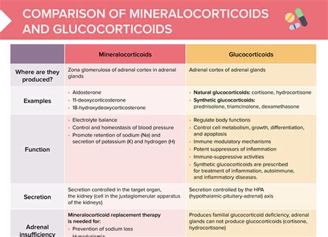 Glucocorticoids vs Mineralocorticoids [+ Free Cheat Sheet]