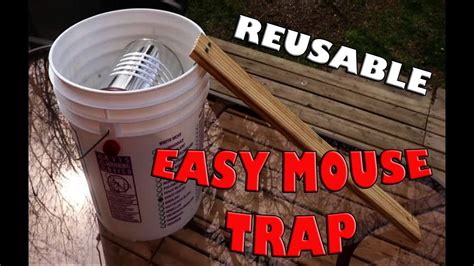 Easy Reusable Bucket Mouse Trap - Improved - YouTube