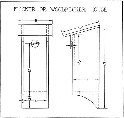 Flicker Bird House: Bird House Plans + Dimensions + Diagram