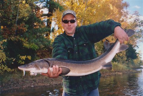 STURGEON FISHING TIPS