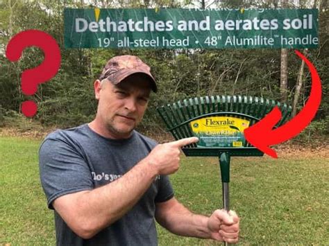 Can You Dethatch A Lawn With A Leaf Rake? Dethatching Options – Thriving Yard