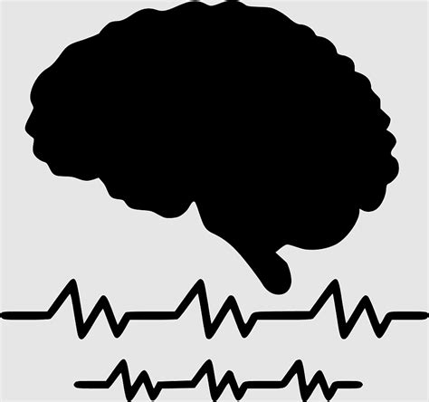 Fisch, Neural oscillation, Electromyography, eeg, electroencephalography, Brainstorm, Principles ...