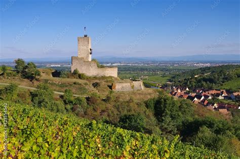 Burg Wineck, Katzenthal im Elsass - castle Wineck, Katzenthal in Alsace Stock 사진 | Adobe Stock