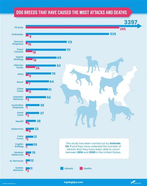 U.S. Statistics on Dog Bites 2021 (19 Breeds Compared)