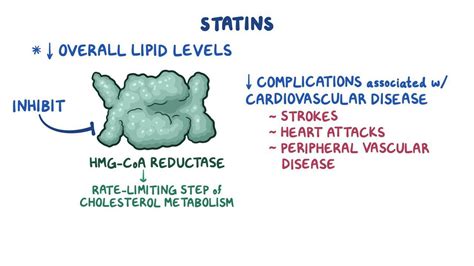 Lipid-lowering medications: Statins - Osmosis