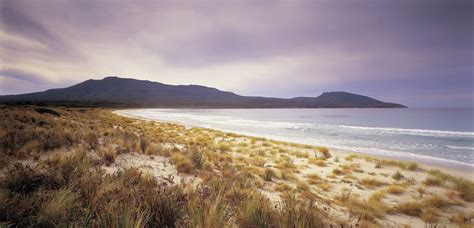 Tasmanian Hikes Blog: Maria Island Walks Tasmania