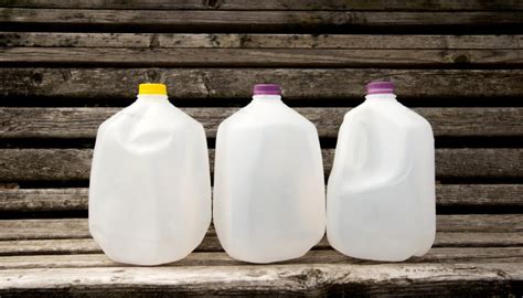 How to upcycle plastic milk jugs | Hello Homestead