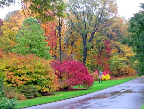 New York Botanical Garden in Autumn