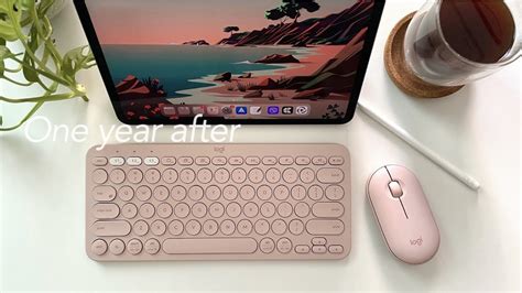 One year after - Logitech Pink K380 & Pebble mouse | เนื้อหาที่ ...