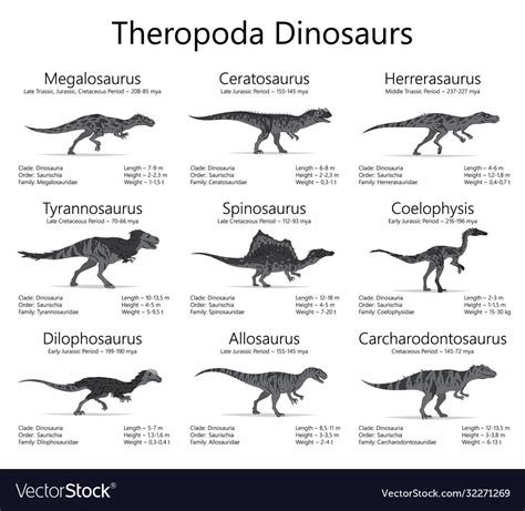 Theropoda dinosaurs monochrome Royalty Free Vector Image