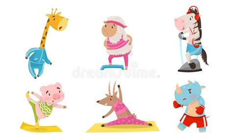 Funny Animals Doing Sport. Fitness and Healthy Lifestyle Vector Illustration Set Stock Vector ...