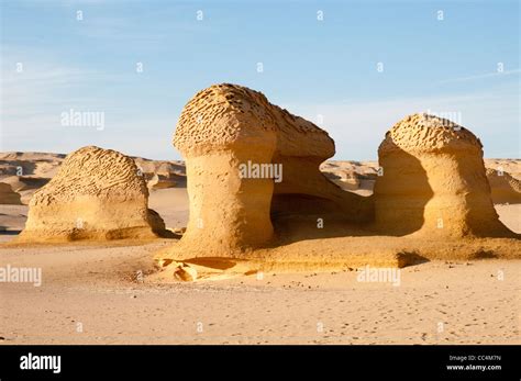 Desert landforms formed by wind erosion at Wadi al-Hitan, Valley of the Whales Stock Photo - Alamy