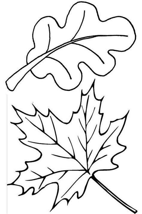 Leaves Coloring Pages Download