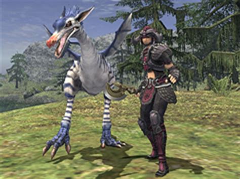 FINAL FANTASY XI Official Web Site