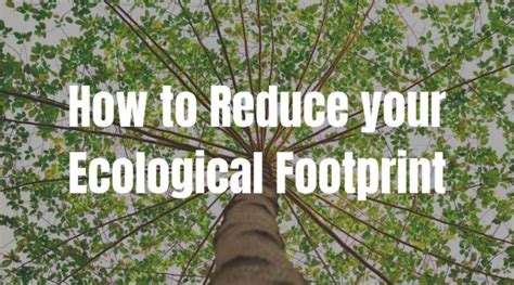 11 Simple Ways to Reduce Your Ecological Footprint | Get Green Now