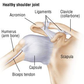 Shoulder Sprain Guide: Causes, Symptoms and Treatment Options