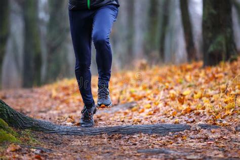 Autumn Trail Running Background. Stock Image - Image of jogger, athlete ...