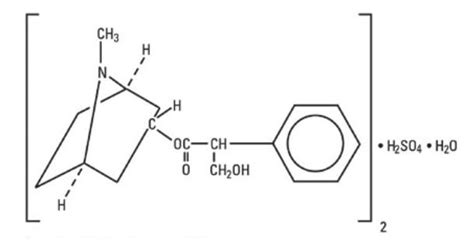 Atropine: Package Insert - Drugs.com