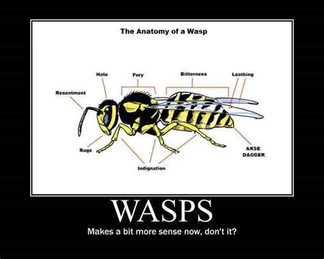 wasps.. - Meme by exilod :) Memedroid