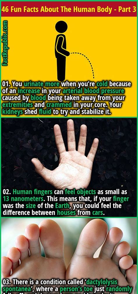 amazing facts about human body - eleetshop.com