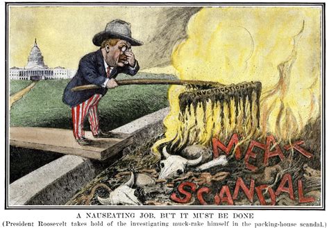 Political cartoon about Teddy Roosevelt and the Chicago meatpacking scandal after the ...