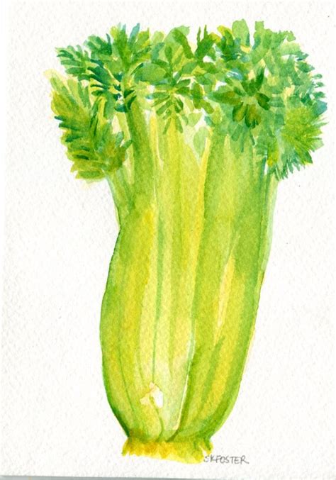 Items similar to Celery Watercolors Paintings Original, Small Vegetable Painting, Kitchen decor ...