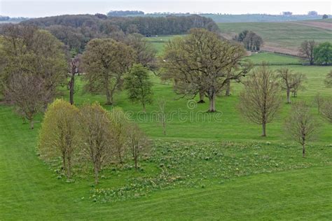 Ashdown House Gardens - Oxfordshire - United Kingdom Stock Image - Image of kingdom, 17thcentury ...