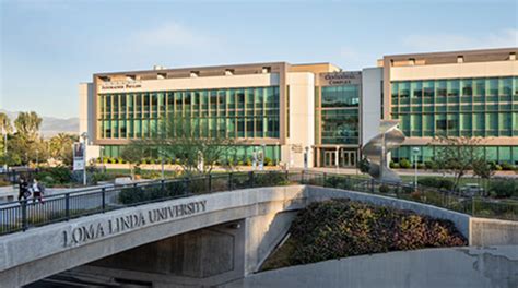 Loma Linda University School Of Medicine Faculty – CollegeLearners.com