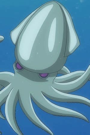 Squid | Anime-Planet