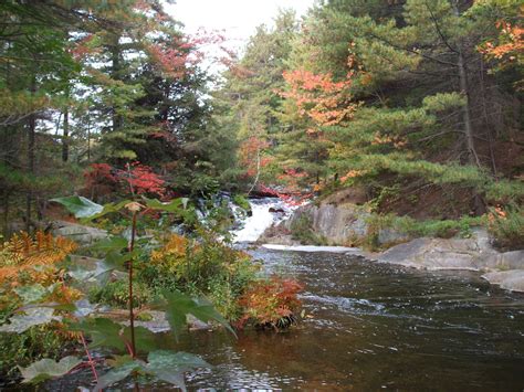 Killarney Provincial Park, 2008 | StephenBarkley.com