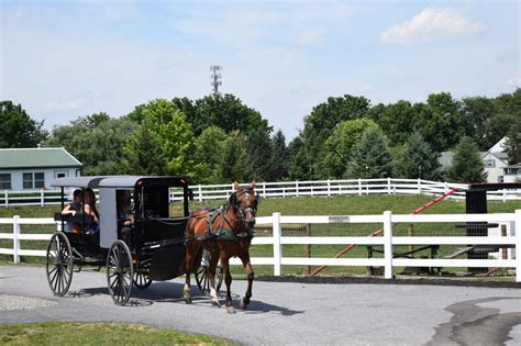 Buggy Rides - Amish Farm and House