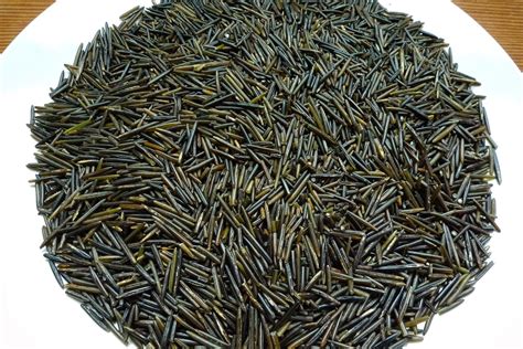 Wild Harvests: Wild Rice- Cascadian Style