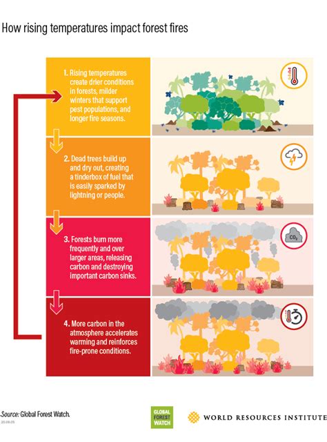 Climate Change Will Alter Forests as We Know Them | GFW Blog