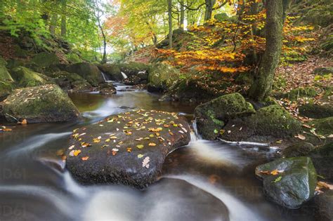 Padley Gorge in autumn, Peak District National Park, Derbyshire ...