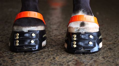 Scoot Boots - best hoof boots for horses - YouTube