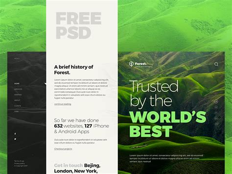 Forest Website Template | Free Mockups, Best Free PSD Mockups - ApeMockups