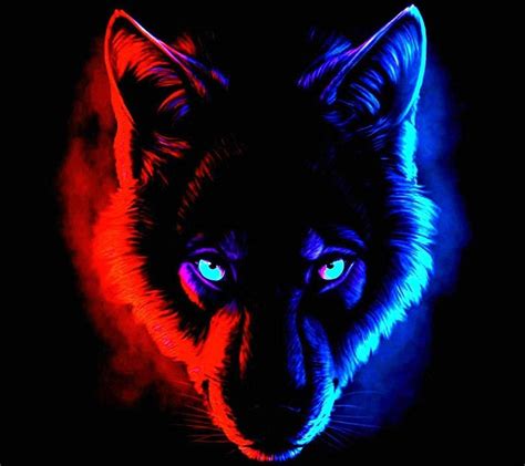 Red Wolf Wallpapers - Top Free Red Wolf Backgrounds - WallpaperAccess