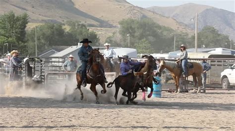 31 Steer Wrestling Stock Videos, Footage, & 4K Video Clips - Getty Images