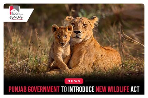 Punjab government to introduce new wildlife act