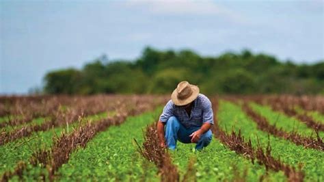 Actividad económica avanzó 0.3% en marzo, pero retrocedió 0.3% a tasa anual: Inegi