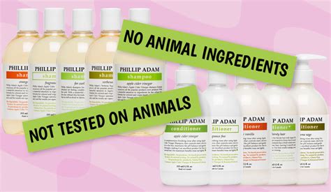 Vegan Cosmetics: The Benefits of Using Vegan Beauty Products