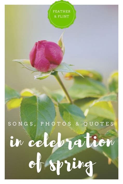 In Celebration of Spring: Songs, Quotes & Photos in 2020 | Spring quotes, Songs, Spring playlist