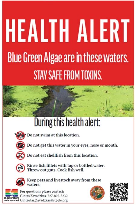 DOH-PINELLAS ISSUES BLUE-GREEN ALGAE BLOOM ALERT FOR PASADENA LAKE | Florida Department of ...